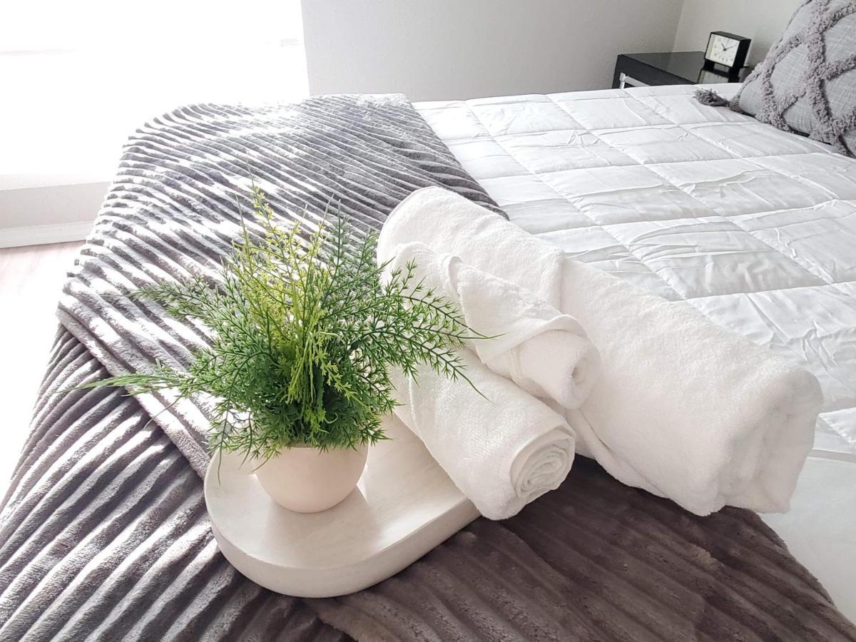 יוסטון Fashionable Stylish Apartment מראה חיצוני תמונה